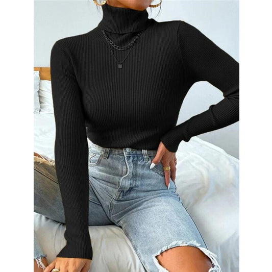 Pull-over Tricoté à Col Roulé